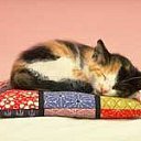 ���� �����, �������, 40 ��� - ��������� 26 ���� 2013 � ������ ������ � ������