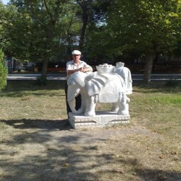 �����, ��������, 67 ���