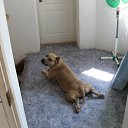 ���� �����, ����, 35 ��� - ��������� 19 ������ 2013