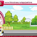 ���� �����, ����������, 41 ��� - ��������� 30 ������� 2010 � ������ �PetLove�