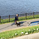 ���� ����, �������, 43 ���� - ��������� 15 ��� 2013 � ������ ���� ����������