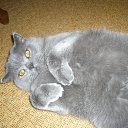 ��� ��������� !!!! �� ������� ���� ����������