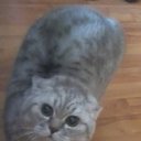 ���� �������, ���������, 46 ��� - ��������� 1 ��� 2012 � ������ ���� ����������