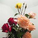 ���� ������, �������� - ��������� 2 ������� 2012