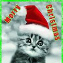 ���� ����� - ���������� ��������!!!, �����������, 56 ��� - ��������� 4 ������� 2009 � ������ �� ����� �����! �������Ȼ