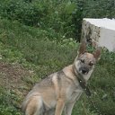 ���� ������, ����� - ��������� 2 ���� 2013 � ������ ����� ��� ������������