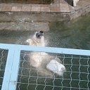 ���� ������� �����, ����������� - ��������� 29 ���� 2011 � ������ �������