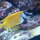 ���� �����, �������������, 25 ��� - ��������� 28 ���� 2013 � ������ ������.�