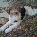 ���� ���, �����, 65 ��� - ��������� 2 ������ 2011 � ������ ���� ����������