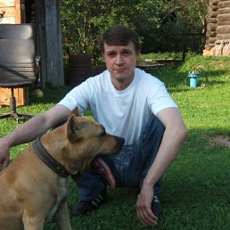 ������, ������, 53 ����