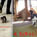 ���� �����, ������, 62 ���� - ��������� 18 �������� 2010 � ������ �������