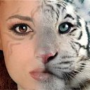 ���� ����, ���������, 70 ��� - ��������� 30 ���� 2011 � ������ �������