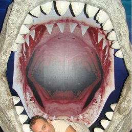 ���� ����, ������, 51 ��� - ��������� 28 ������� 2012