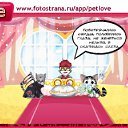 ���� ���, ������, 33 ���� - ��������� 8 ��� 2011 � ������ �PetLove�