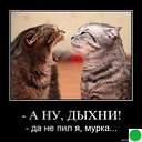 ���� Aleks, ������ - ��������� 30 ����� 2010 � ������ ���������