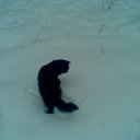 ���� �� ������� �������