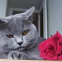  )   my.....!