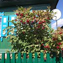  ,  -  22  2012   * ..*