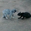 ���� ���������, ����, 53 ���� - ��������� 12 ������� 2012 � ������ ������