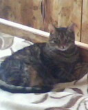 ���� ����, ������, 50 ��� - ��������� 16 ������ 2012