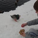 ���� �����, ������ ����� - ��������� 3 ����� 2013 � ������ ���� ����������