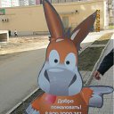 ���� �������, ���������, 43 ���� - ��������� 17 ������ 2012 � ������ ���� ����������