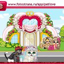  ......., , 34  -  12  2010   PetLove