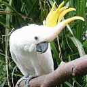 ���� �������, ������ - ��������� 12 ������ 2012 � ������ �������