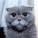  ,  , 40  -  28  2011