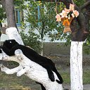 ���� �������, �������, 40 ��� - ��������� 2 ����� 2010