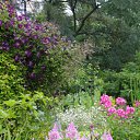 ���� �, �����-���������, 50 ��� - ��������� 9 �������� 2010 � ������ �������