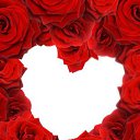 ���� ����), ���������� - ��������� 8 ������� 2009 � ������ �@}-}--�