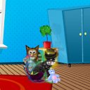 ���� Koldiv, ��������� - ��������� 22 �������� 2010 � ������ ���� ��������