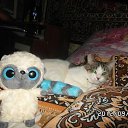 ���� Mg_girl, ���������, 30 ��� - ��������� 24 ������� 2012 � ������ ���� ����������