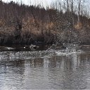  Sergey, , 65  -  25  2011    