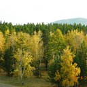  Sergey, , 65  -  4  2011    