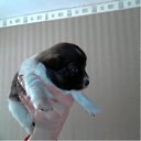  Zanna, , 53  -  28  2013    