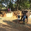 ���� �����, ������� ��������, 53 ���� - ��������� 21 ����� 2013 � ������ ���� ����������