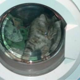 ���� Angel, ������, 41 ��� - ��������� 29 ������ 2011