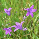 ���� ���, ������ - ��������� 13 ������ 2010 � ������ �������