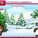 ���� �����, ����� ���, 41 ��� - ��������� 28 ������ 2010 � ������ �PetLove�