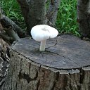 ���� �������, ������ ���, 60 ��� - ��������� 3 ����� 2012 � ������ �2�