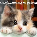 ����� �� ����? �� ������� ���� ����������