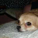 ���� Delissima07, �����-���������, 41 ��� - ��������� 20 ������ 2012 � ������ ���� ����������