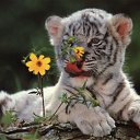 ���� �����, ����, 42 ���� - ��������� 14 ������ 2012