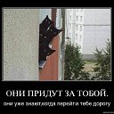 ���� ����, ������, 48 ��� - ��������� 8 ���� 2011 � ������ ����