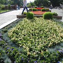 ���� �����, ������, 33 ���� - ��������� 23 ���� 2013 � ������ ���� ����������