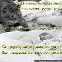 ���� �����(������� �������� � Ѹ��������), �������-���������, 46 ��� - ��������� 16 ������� 2012 � ������ ���� ����������