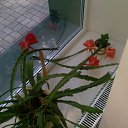 ���� �������, ������, 57 ��� - ��������� 14 ���� 2012 � ������ ���� ������