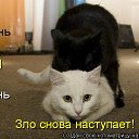 ���� �������, �������, 59 ��� - ��������� 18 ��� 2011 � ������ �������